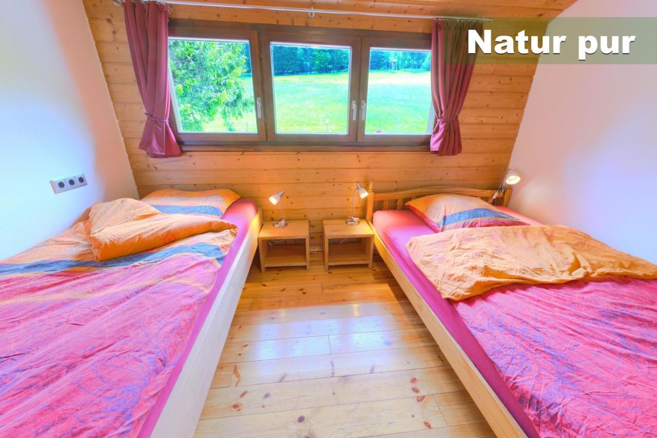 Wohlfuehl-Ferienwohnung 80 Qm, 8 Personen, Aussicht & Heimkino Тодтнау Экстерьер фото