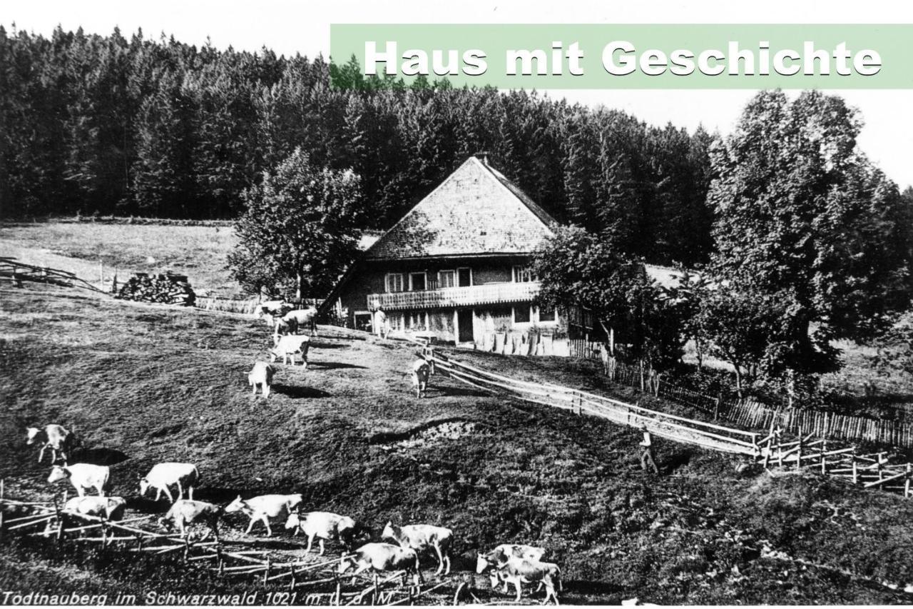 Wohlfuehl-Ferienwohnung 80 Qm, 8 Personen, Aussicht & Heimkino Тодтнау Экстерьер фото